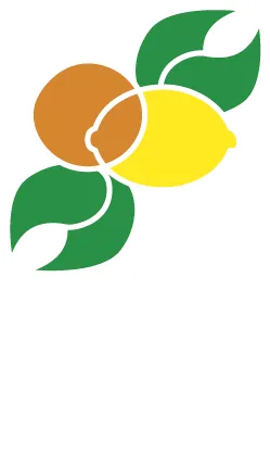 Logo AVASA
