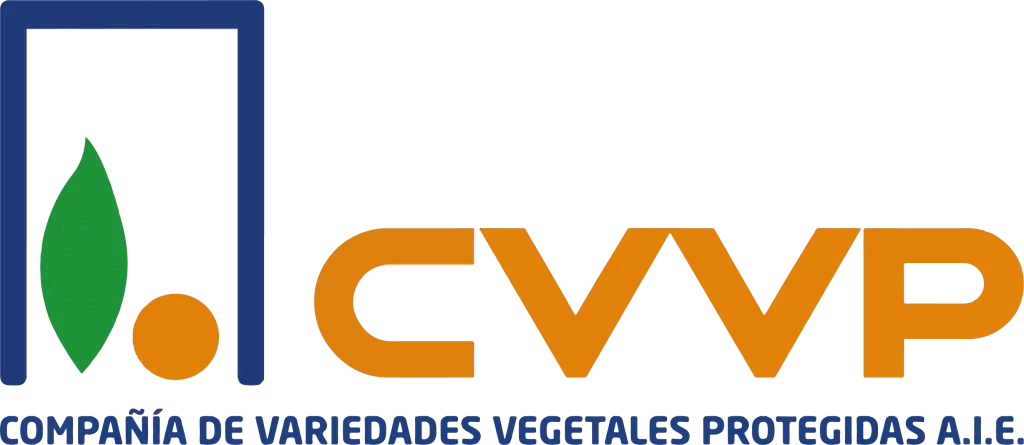 Logo CVVP